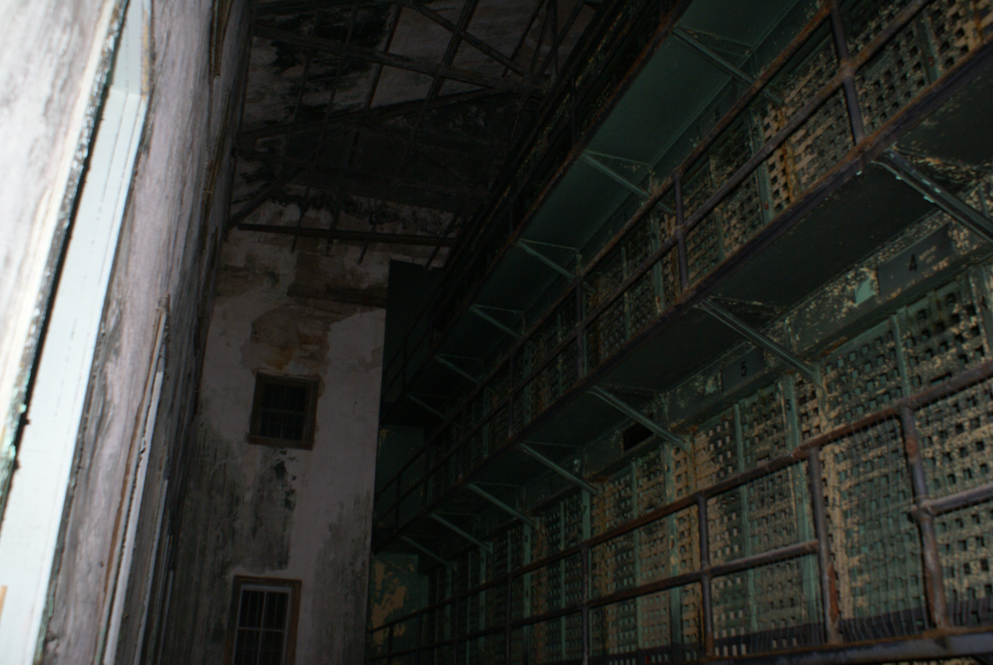 Image description